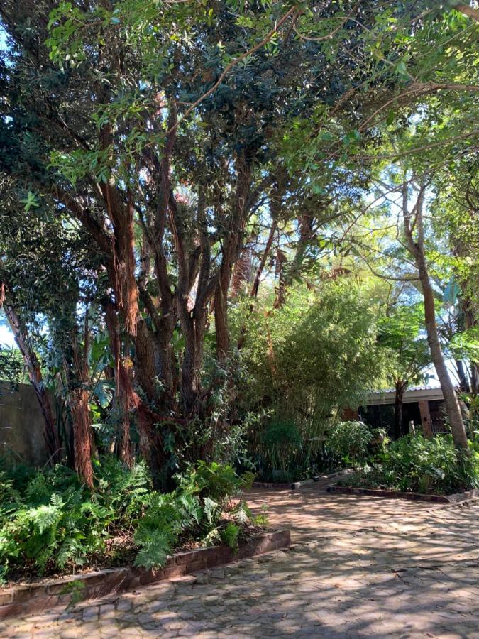 The Secret Garden Hideaway Apartment มอสเซิลเบย์ ภายนอก รูปภาพ
