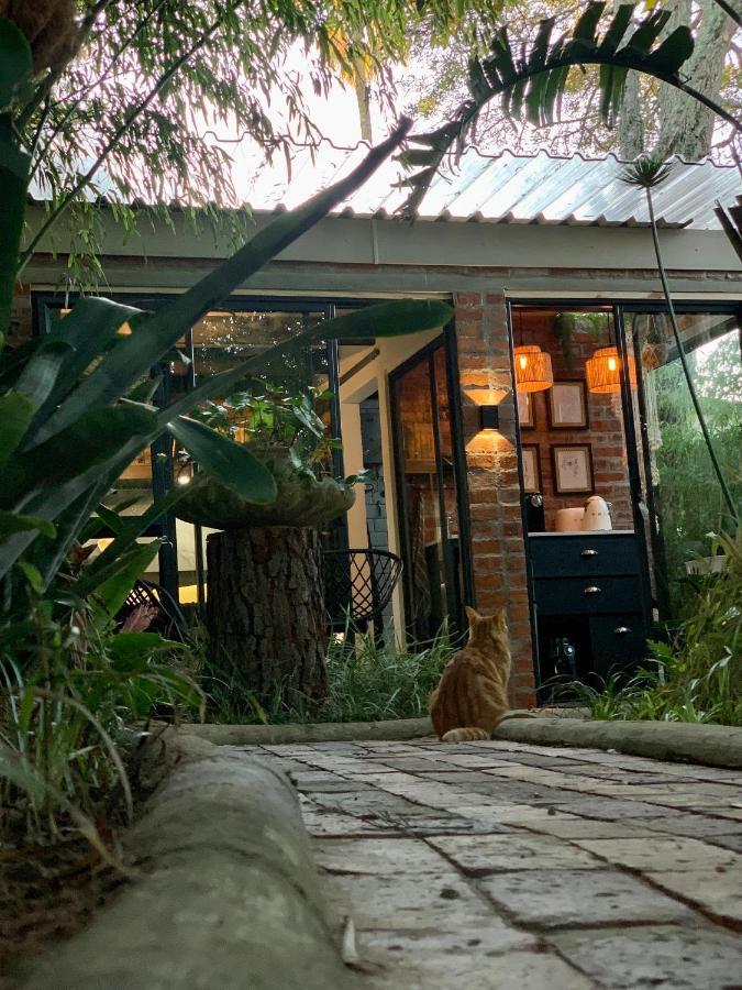 The Secret Garden Hideaway Apartment มอสเซิลเบย์ ภายนอก รูปภาพ
